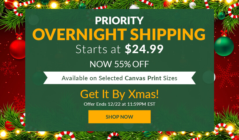 Priority Overnight Shipping