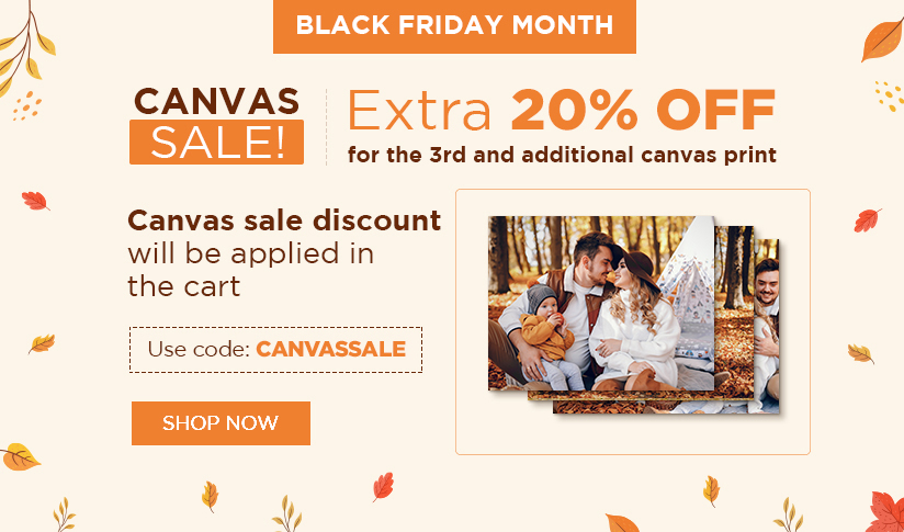 BLACK FRIDAY MONTH - CANVAS SALE!