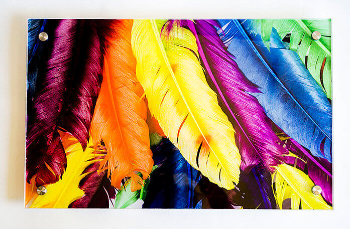 Colorful Feather picture on Acrylic