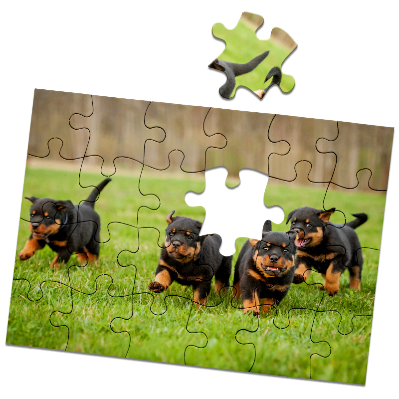 Custom Photo Puzzles