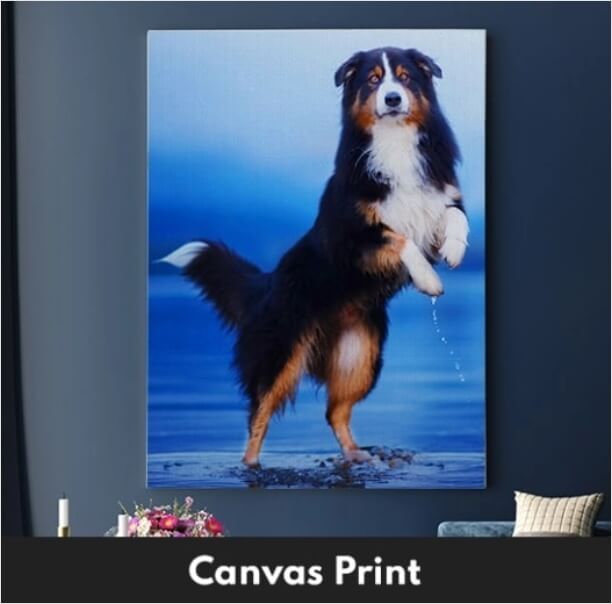 Personalized dog and dog owner canvas print best sale