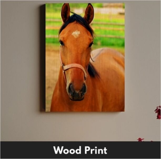 Custom Canvas Pet Prints