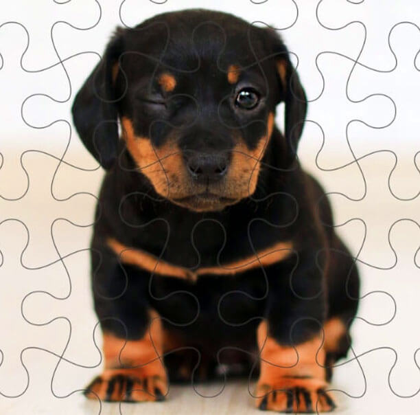 Custom Pet Photo Puzzles