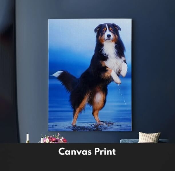 Custom Pet Prints