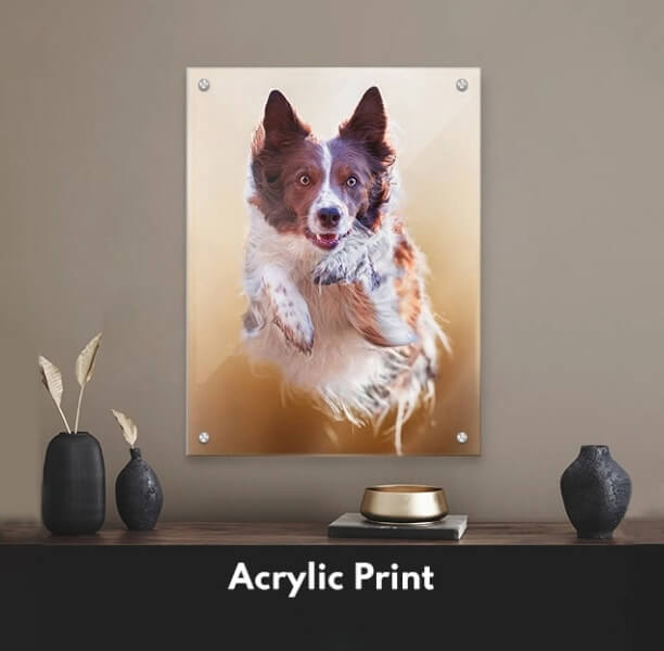 Custom Pet Prints