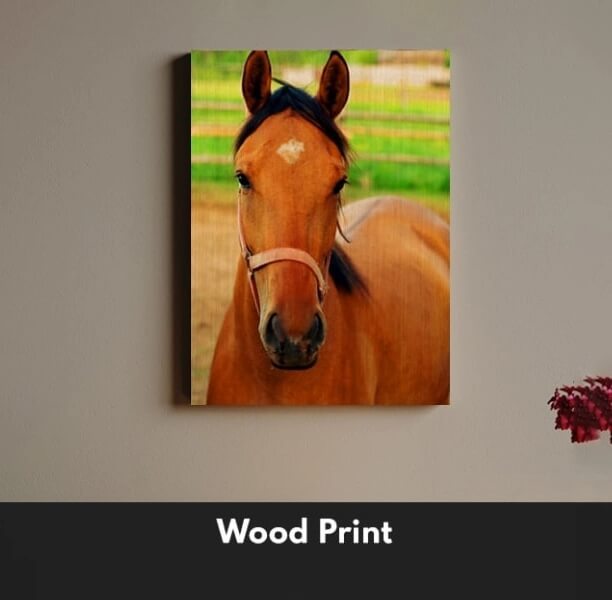 Custom Pet Prints