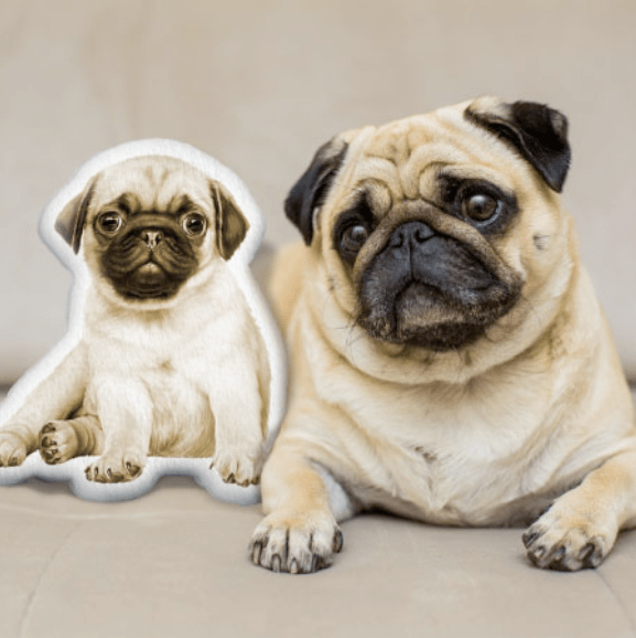 Custom Pet Shaped Pillows Personalised Your Pillow Online