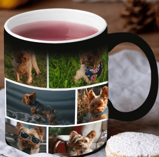 Custom Pet Magic Mug