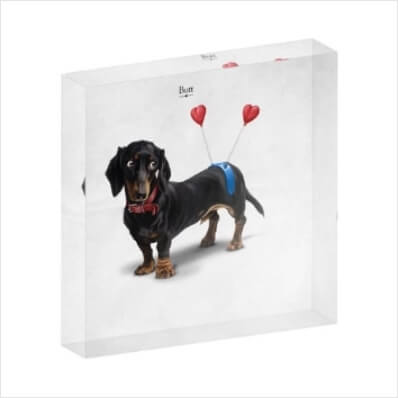 PET ACRYLIC PHOTO BLOCKS