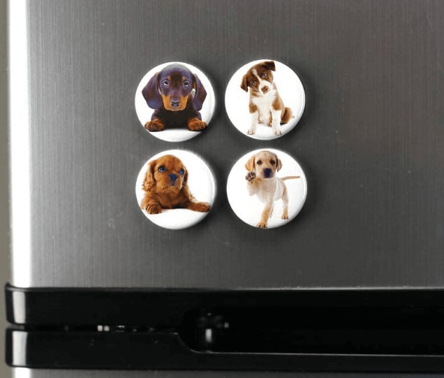 Photo-Magnets-on-Refrigerator