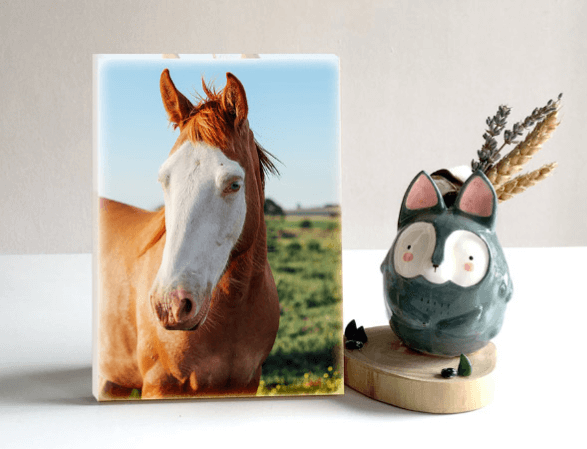 Custom Pet Acrylic Photo Blocks Are Easy to Design