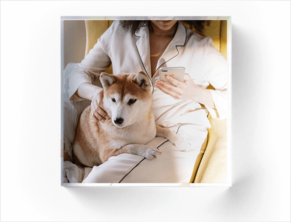 Make Lasting Memories With Custom Pet Acrylic Photo Blocks