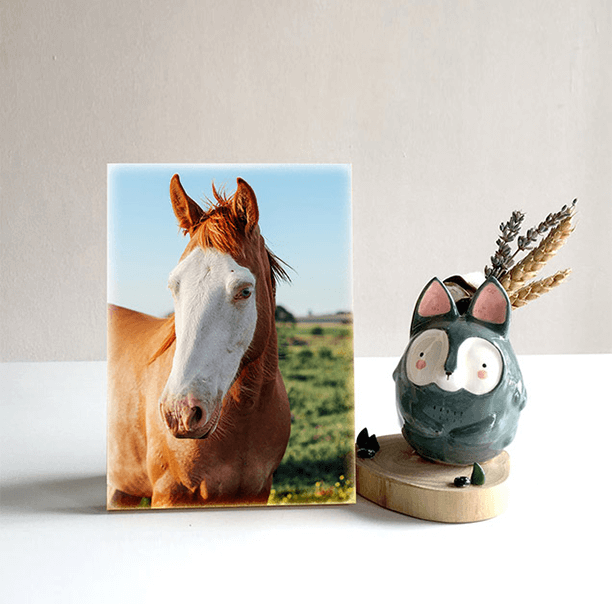 Custom Pet Photo Puzzles